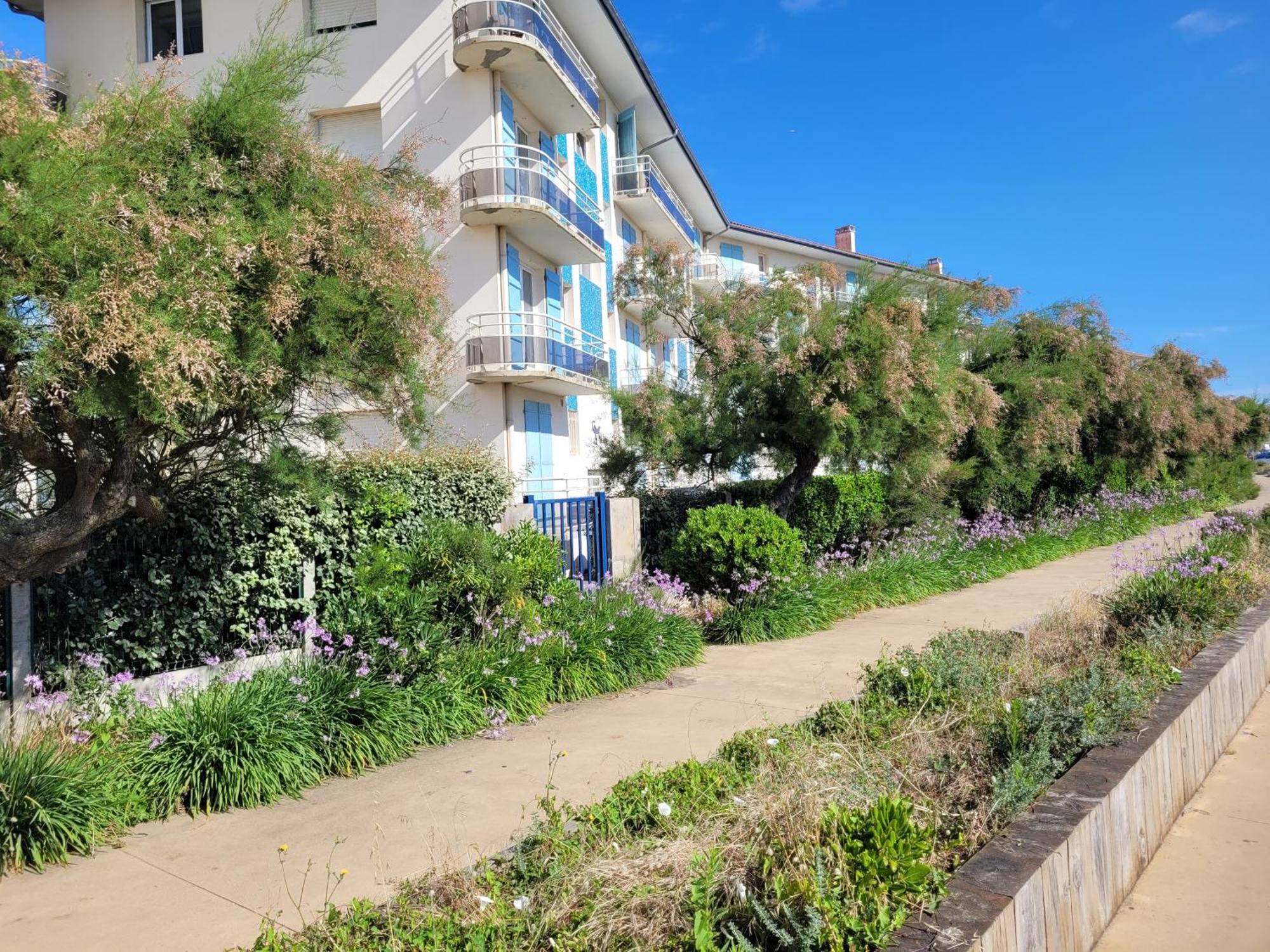 Sable - Appartement Renove Pour 4 Personnes Soorts-Hossegor Εξωτερικό φωτογραφία